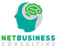 NET Business consulting copy